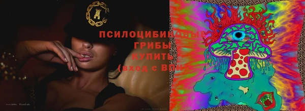 jwh Абаза
