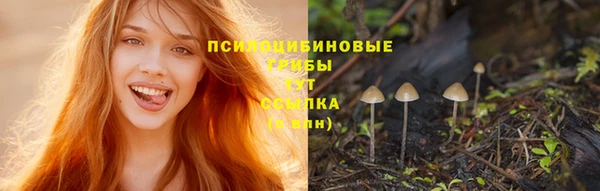 jwh Абаза