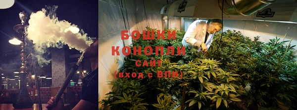 ГАЛЛЮЦИНОГЕННЫЕ ГРИБЫ Абдулино