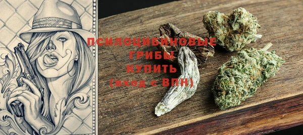 ГАЛЛЮЦИНОГЕННЫЕ ГРИБЫ Абдулино