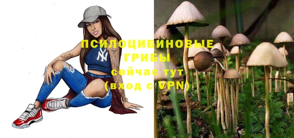 jwh Абаза