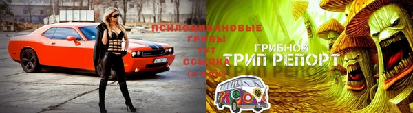 герыч Абинск
