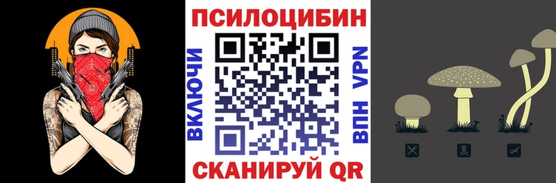 закладки  мега зеркало  Псилоцибиновые грибы Psilocybe  Тайга 